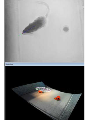 動(dòng)物行為學(xué)_動(dòng)物常規(guī)實(shí)驗(yàn)行為分析系統(tǒng)